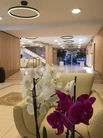 Hotel Hotel Tomis